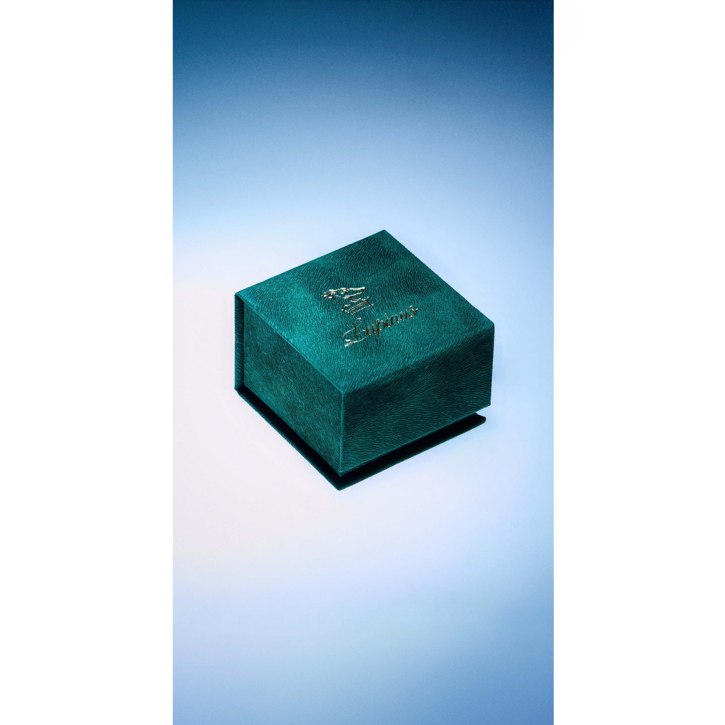 Lupinus Charm