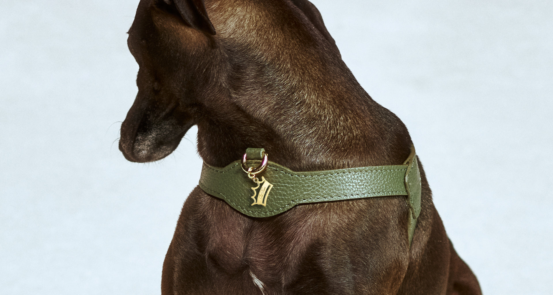 Royale Viridis x Legacy