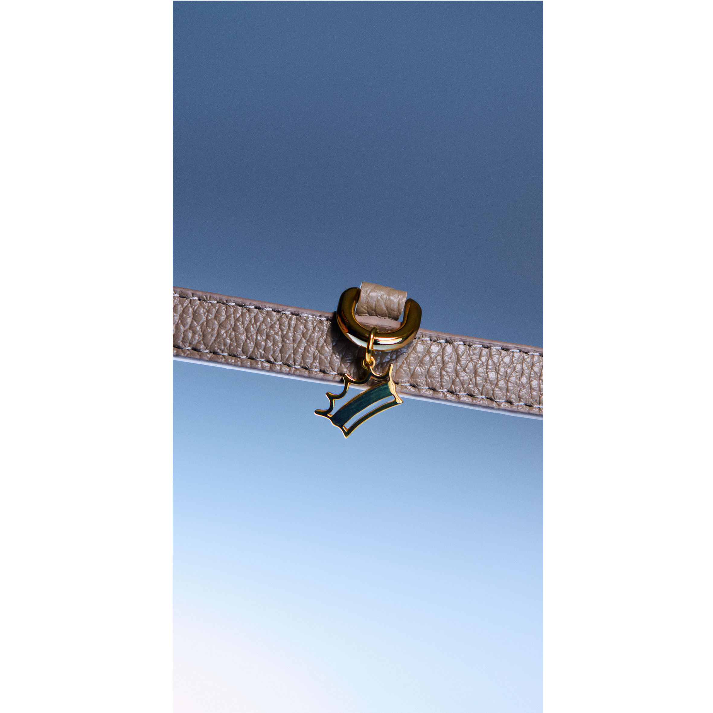 Coronet Charm