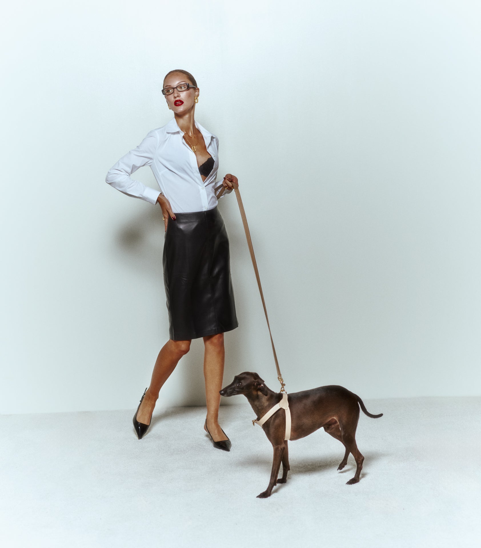 Grand Imperial Byssus x Legacy