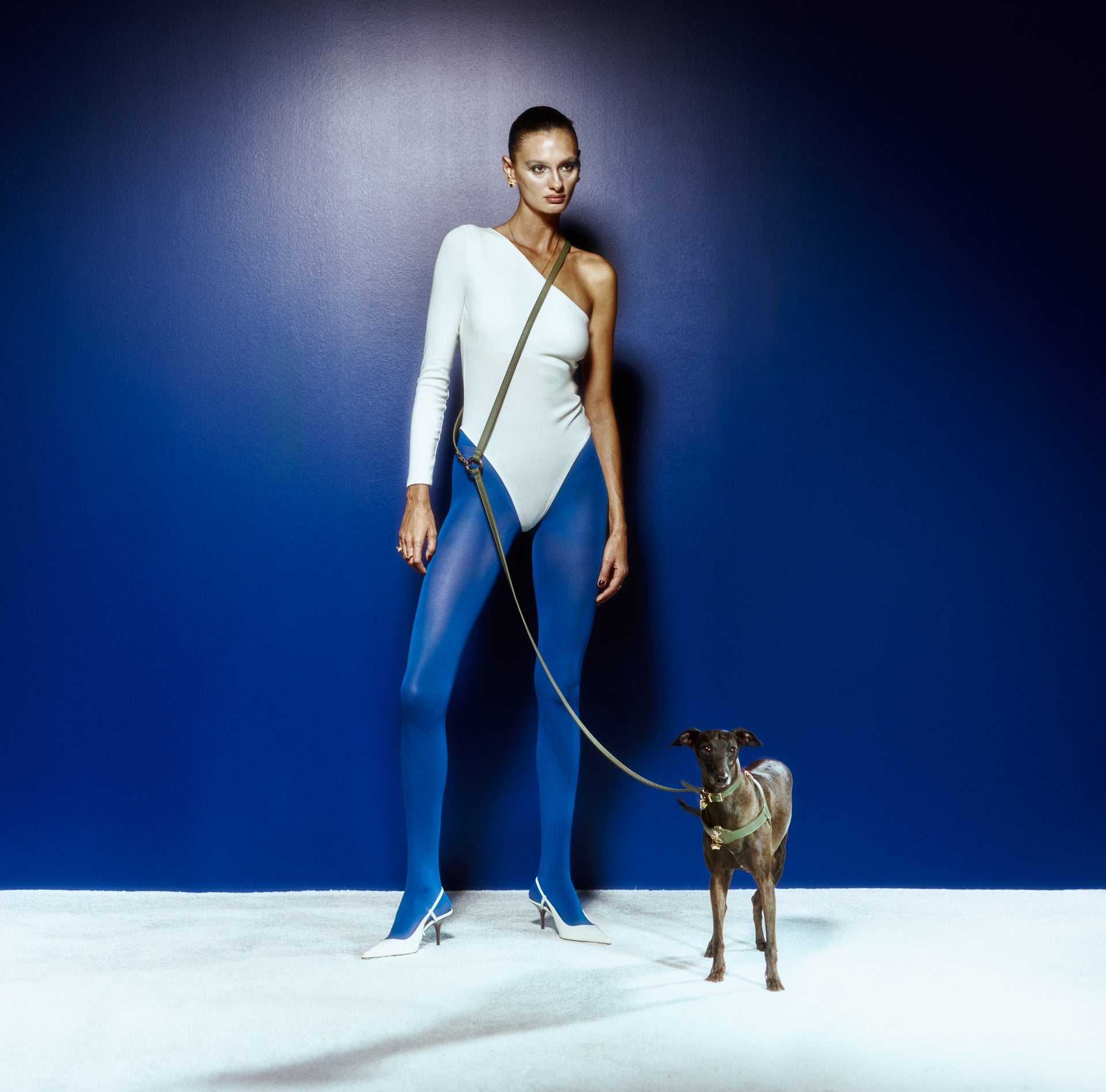 Grand Monarch Viridis x Legacy