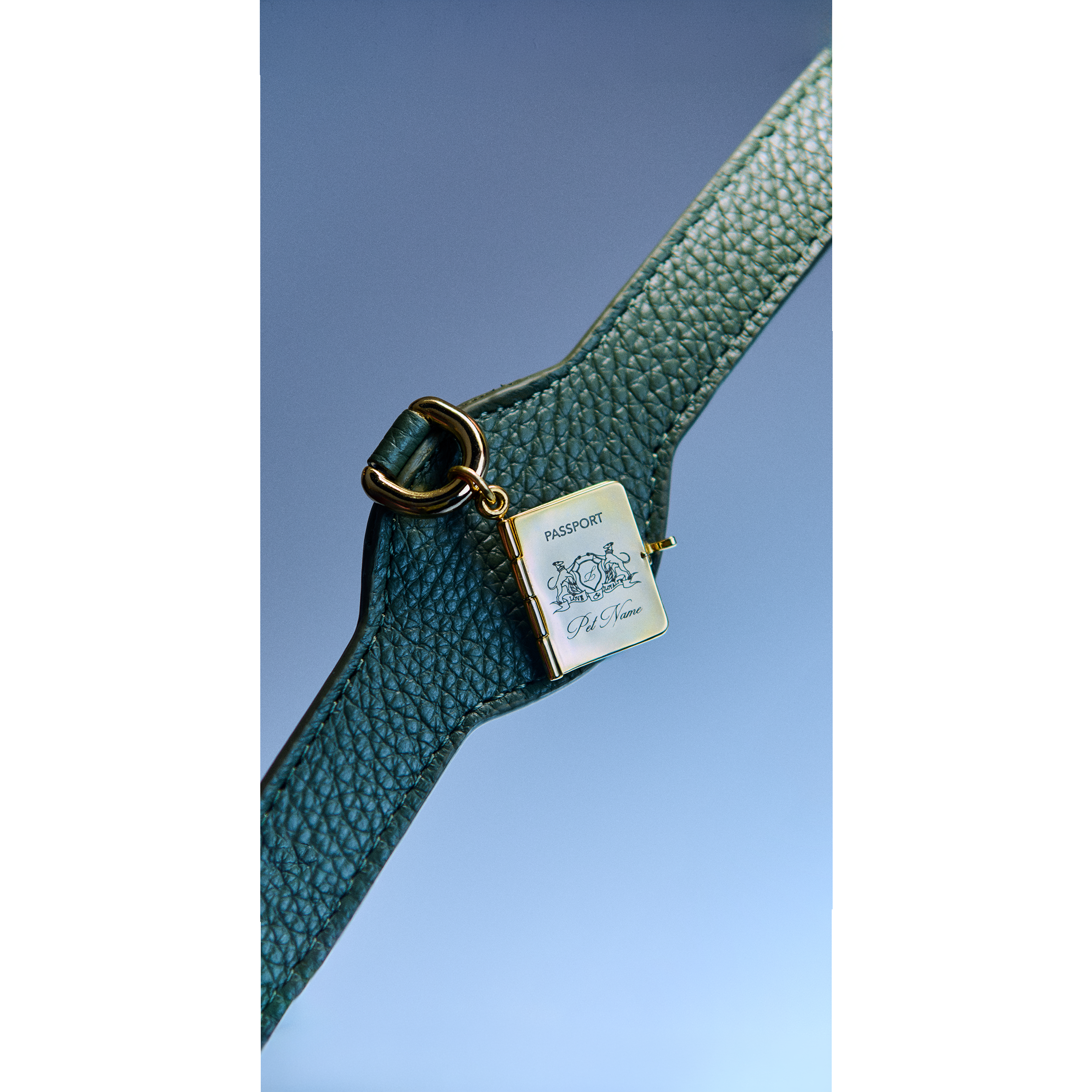 Passport Charm