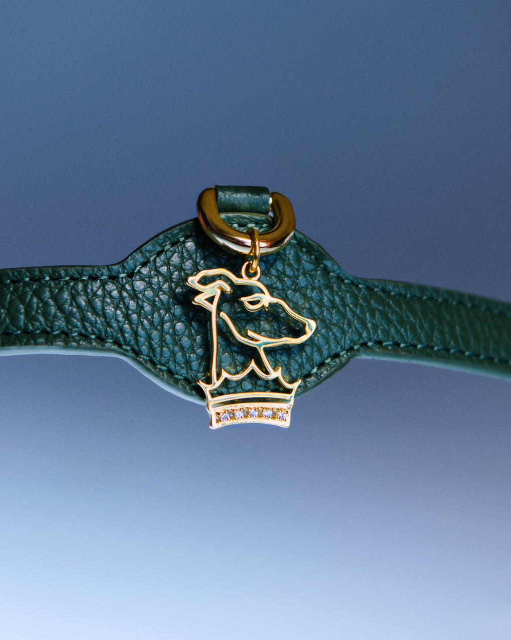 Lupinus Stone Charm Serenus