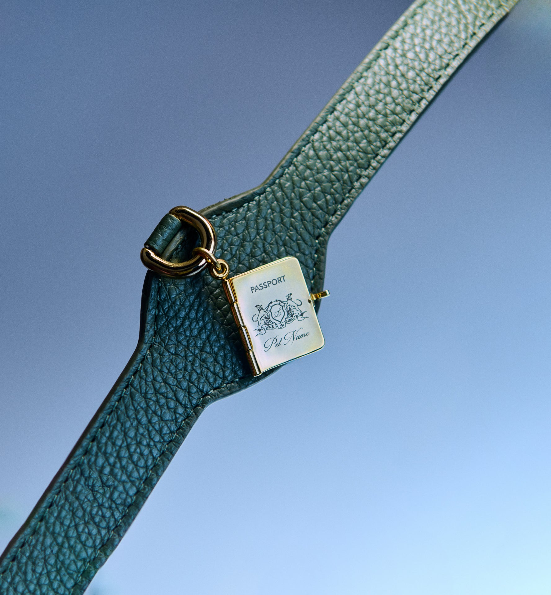 I Only Eat Cookies Charm