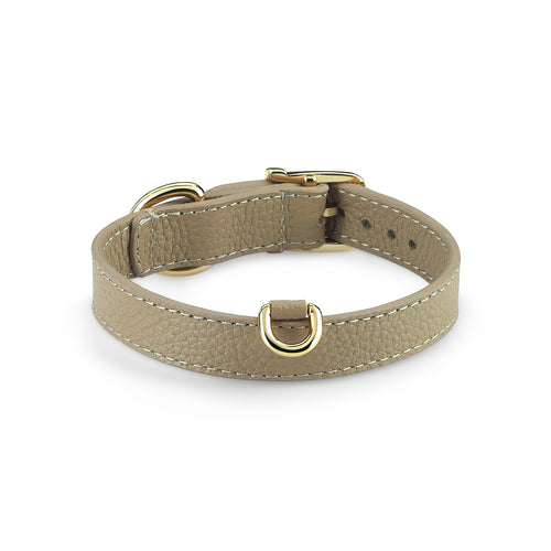 Duke Byssus x Legacy