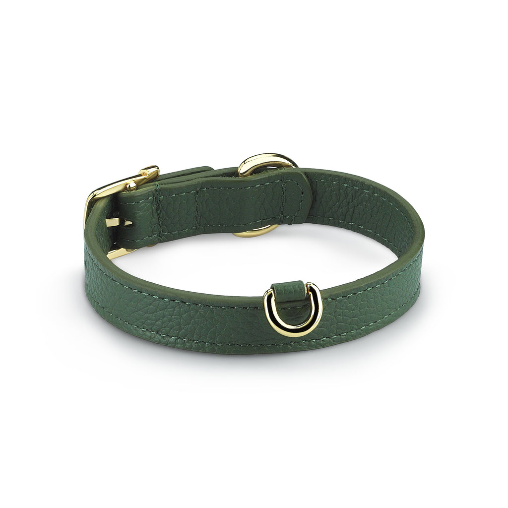 Duke Viridis x Legacy