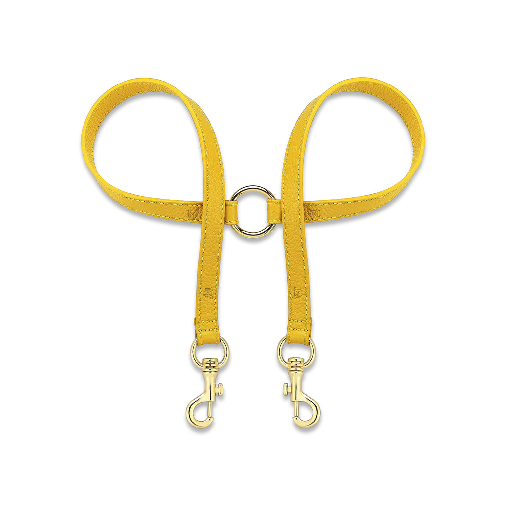 Grand Consort Flavus x Yaga