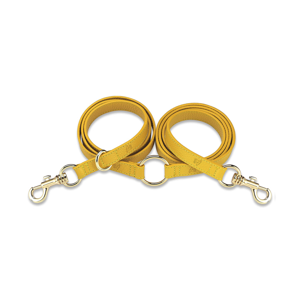 Grand Monarch Flavus x Yaga