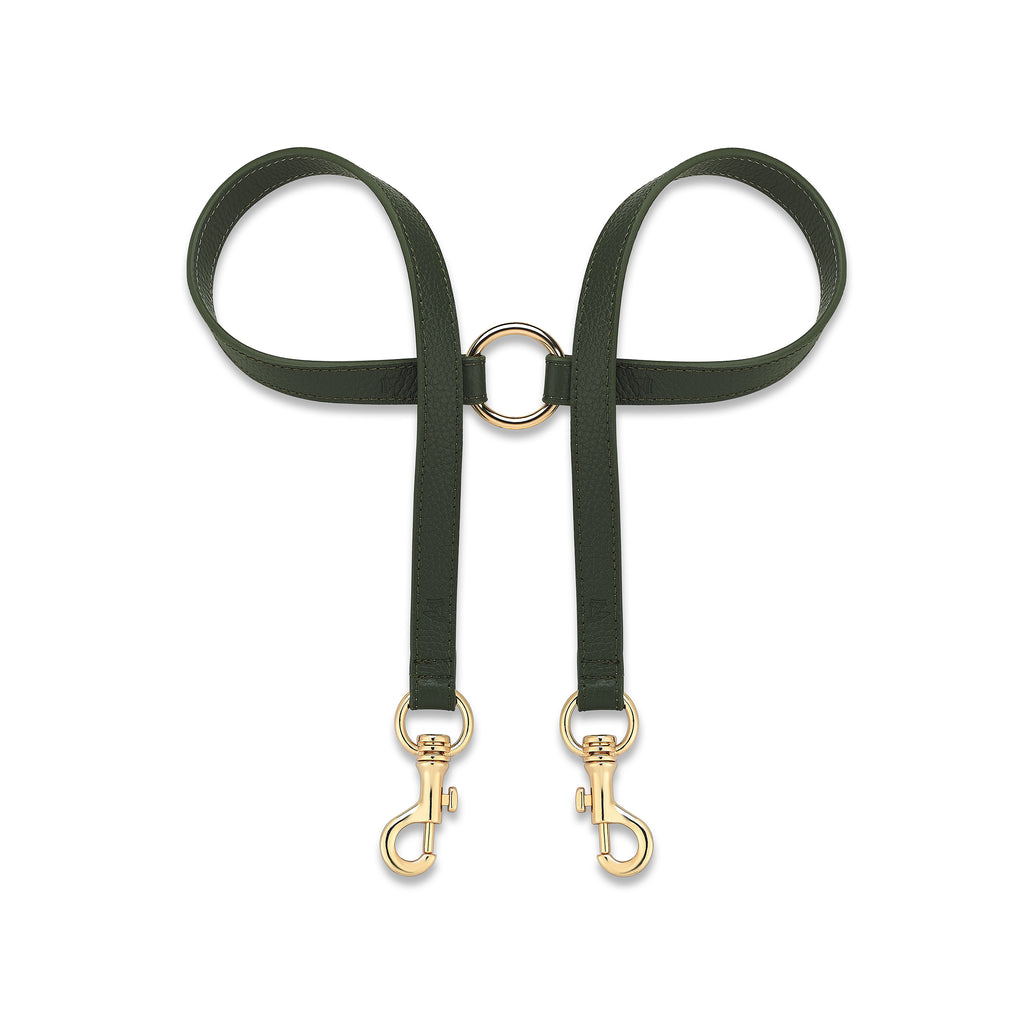 Grand Consort Viridis x Yaga