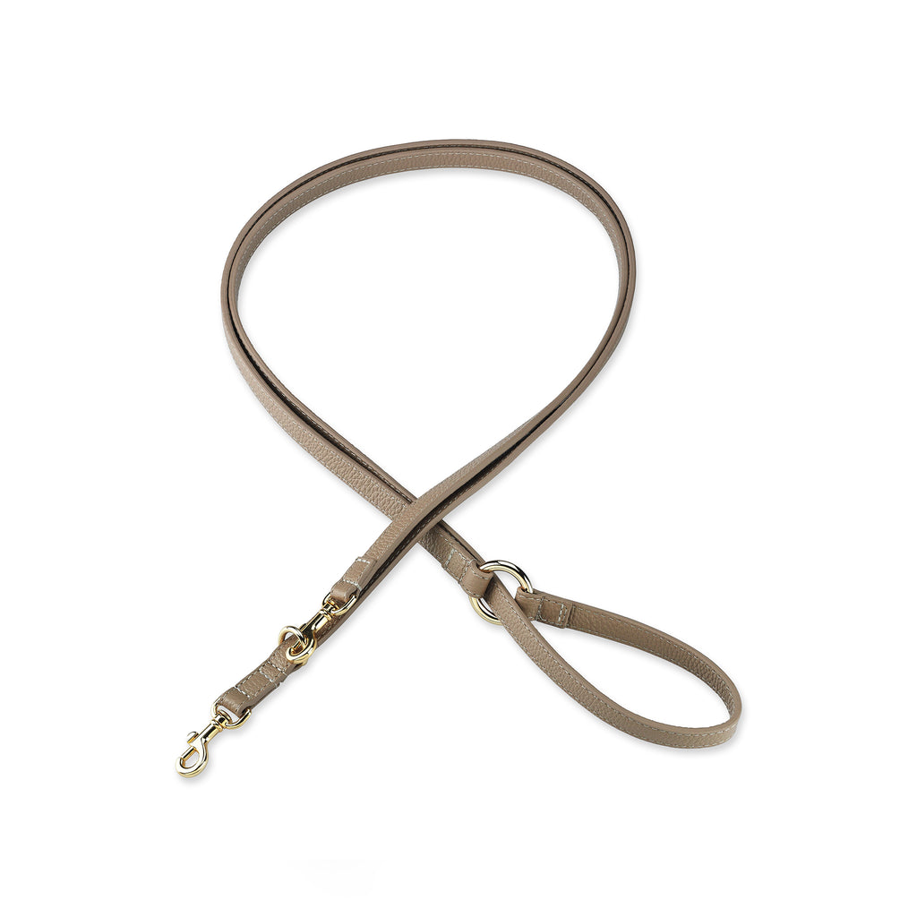 Monarch Byssus x Legacy