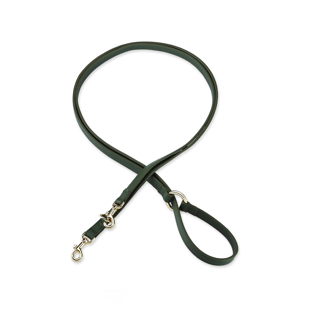 Monarch Viridis x Legacy