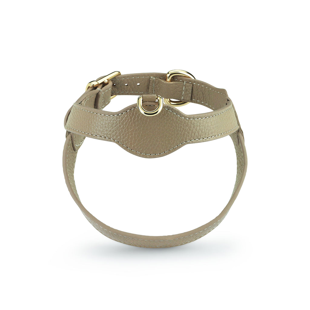 Royale Byssus x Legacy