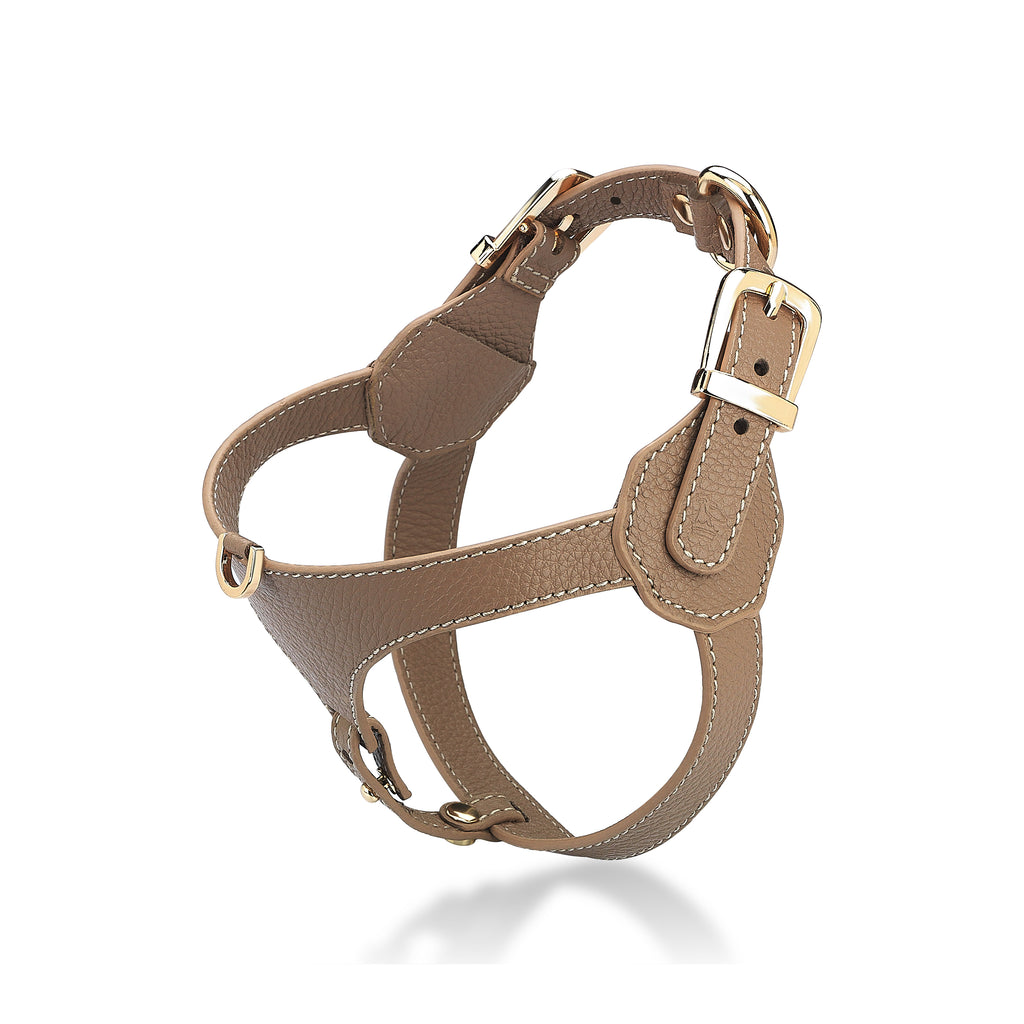 Cavalier Byssus x Yaga