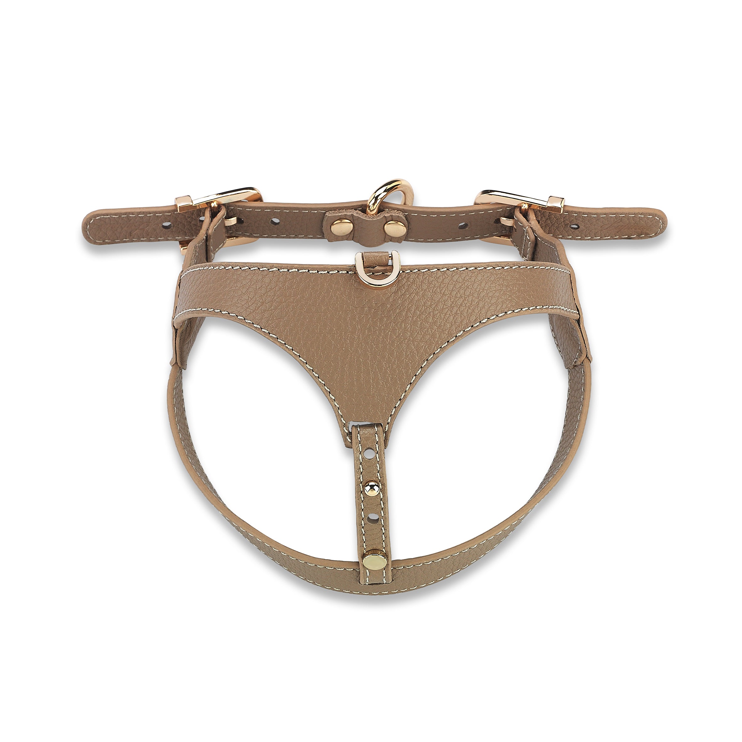 Cavalier Byssus x Yaga