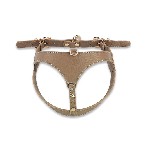 Cavalier Byssus x Yaga