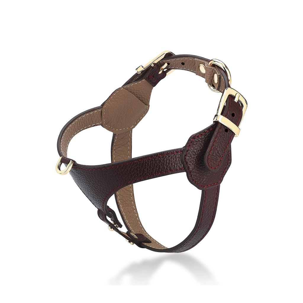 Cavalier Cerasus x Yaga