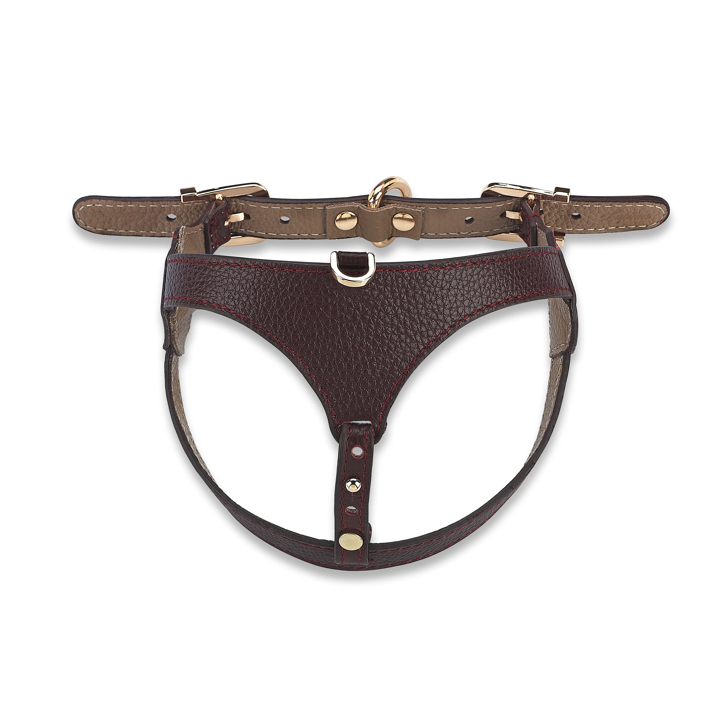 Cavalier Cerasus x Yaga