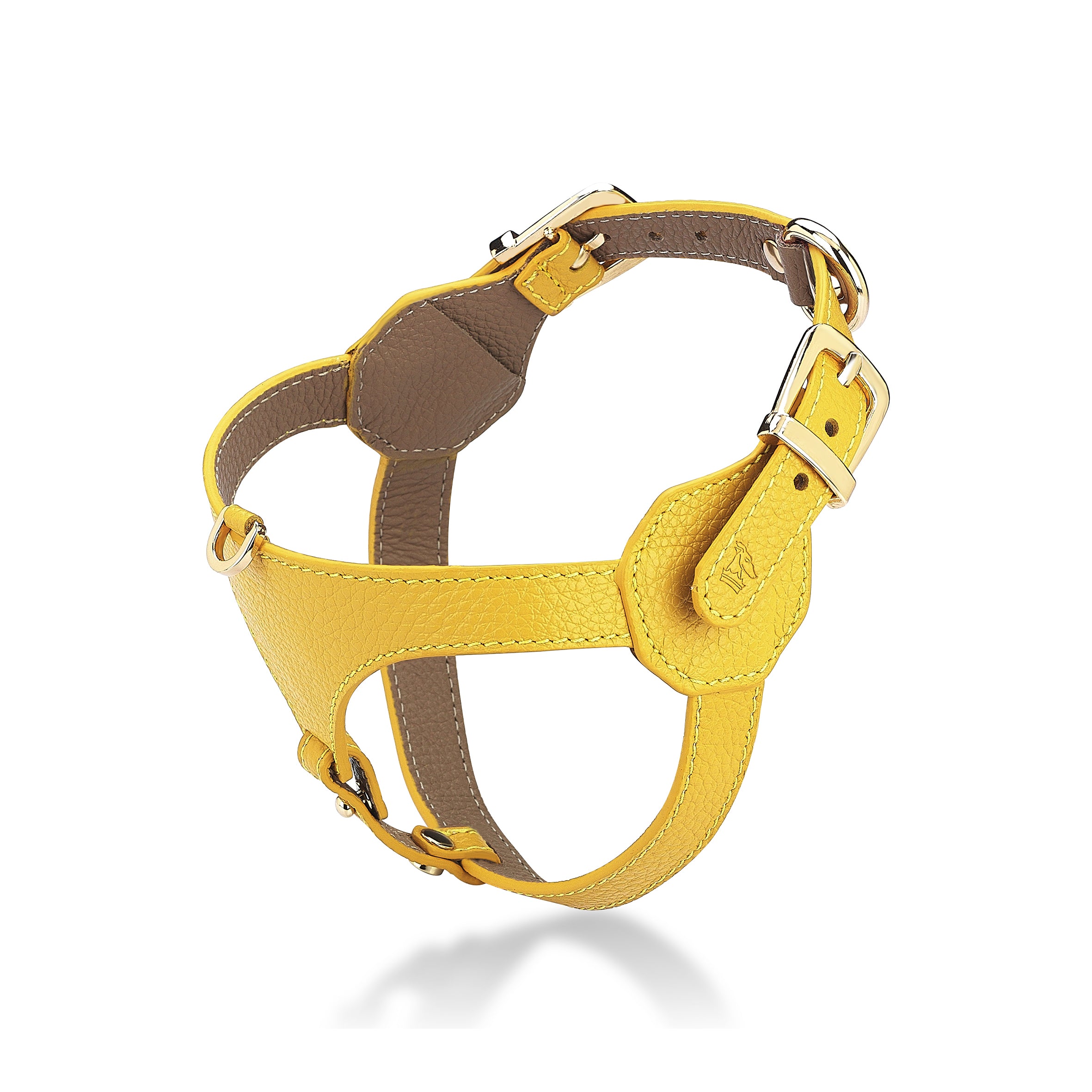 Cavalier Flavus x Yaga