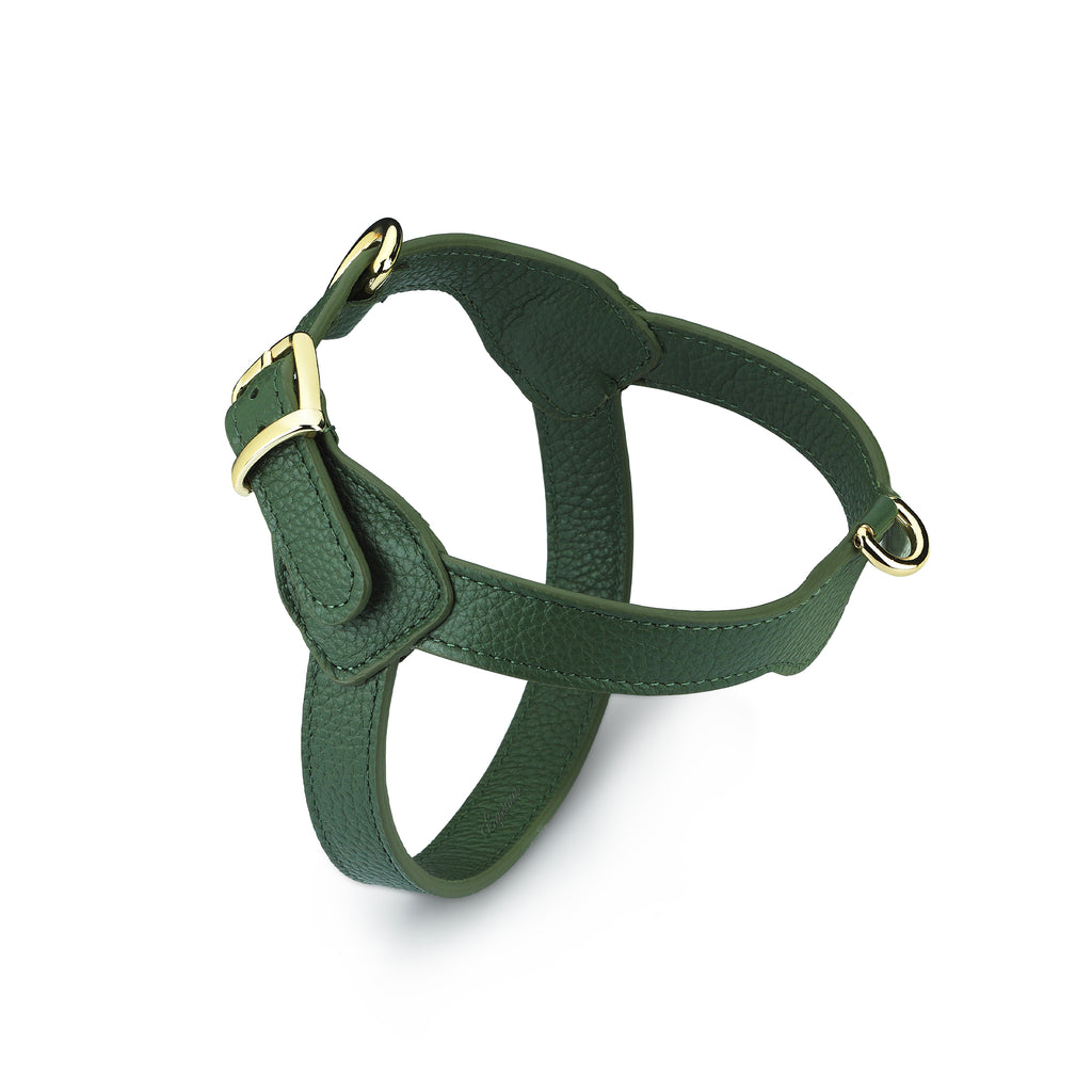 Royale Viridis x Legacy