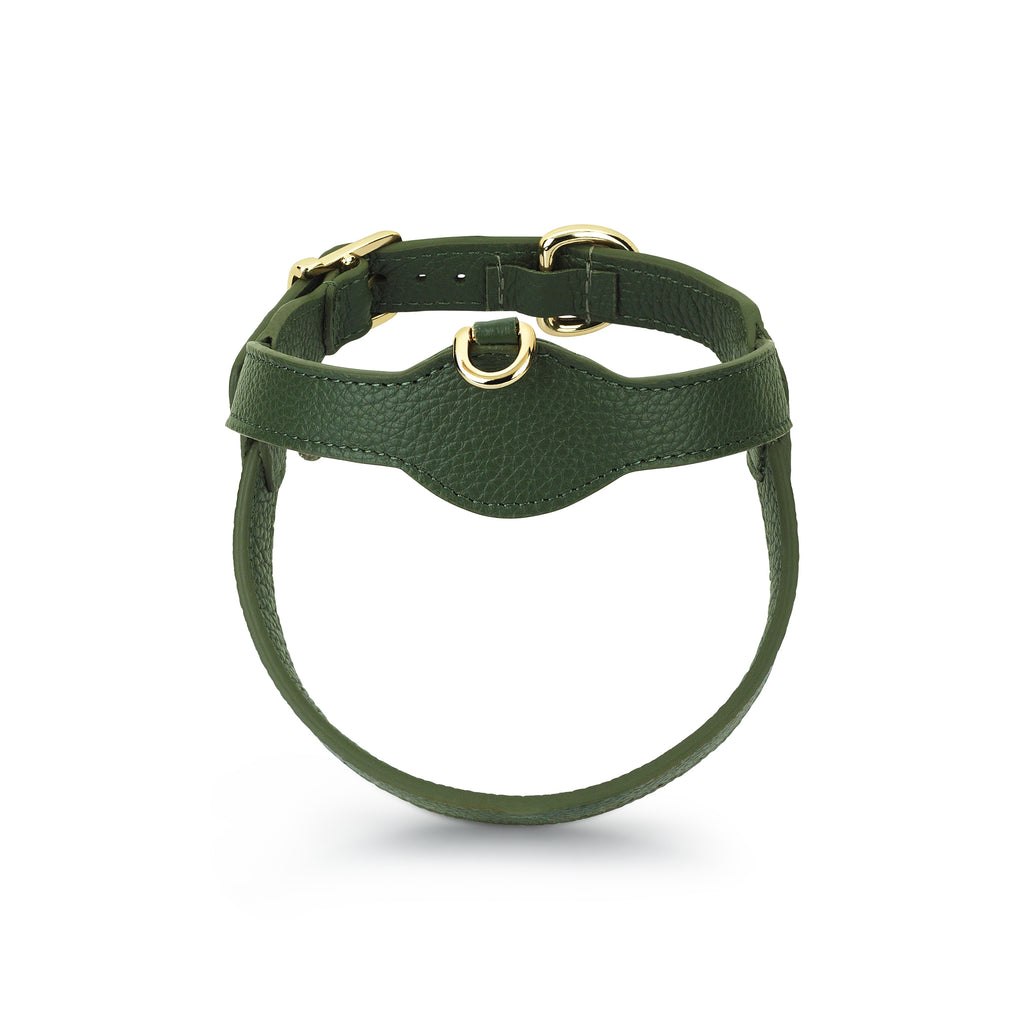 Royale Viridis x Legacy