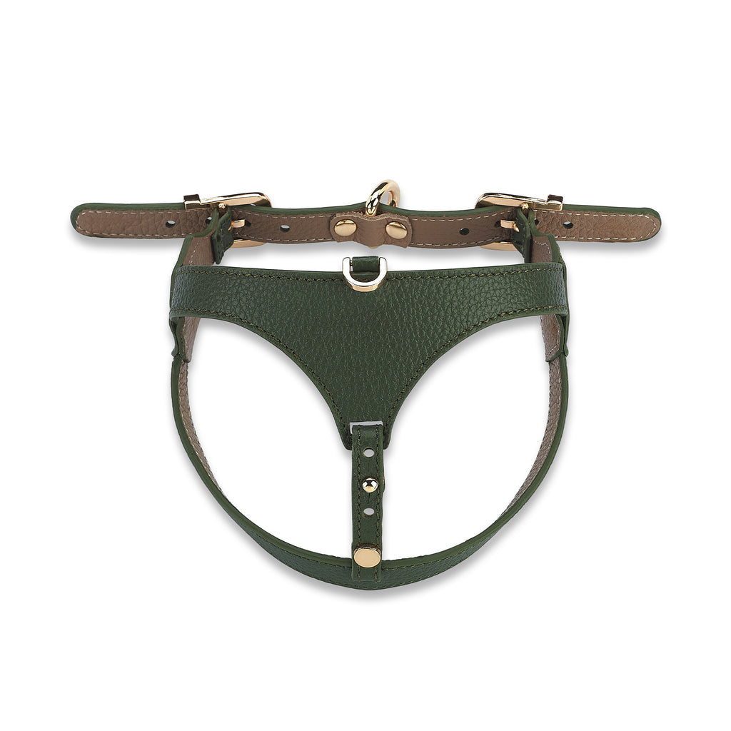 Cavalier Viridis x Yaga