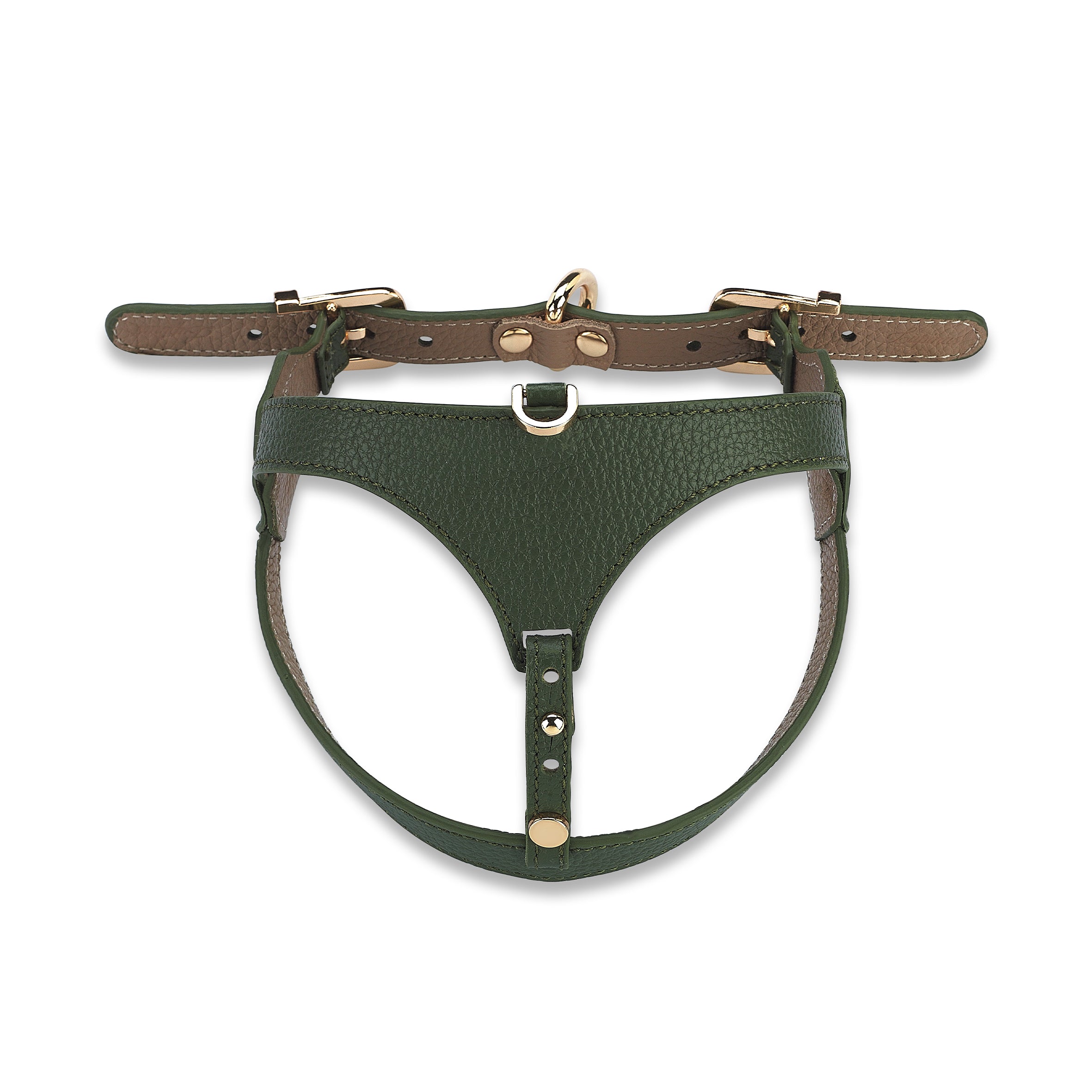 Cavalier Viridis x Yaga