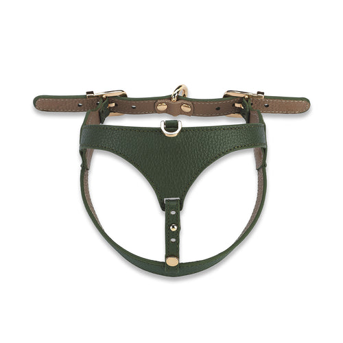 Cavalier Viridis x Yaga