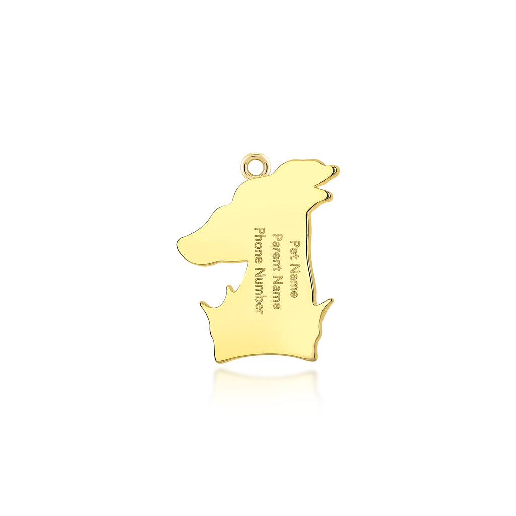 Lupinus Charm