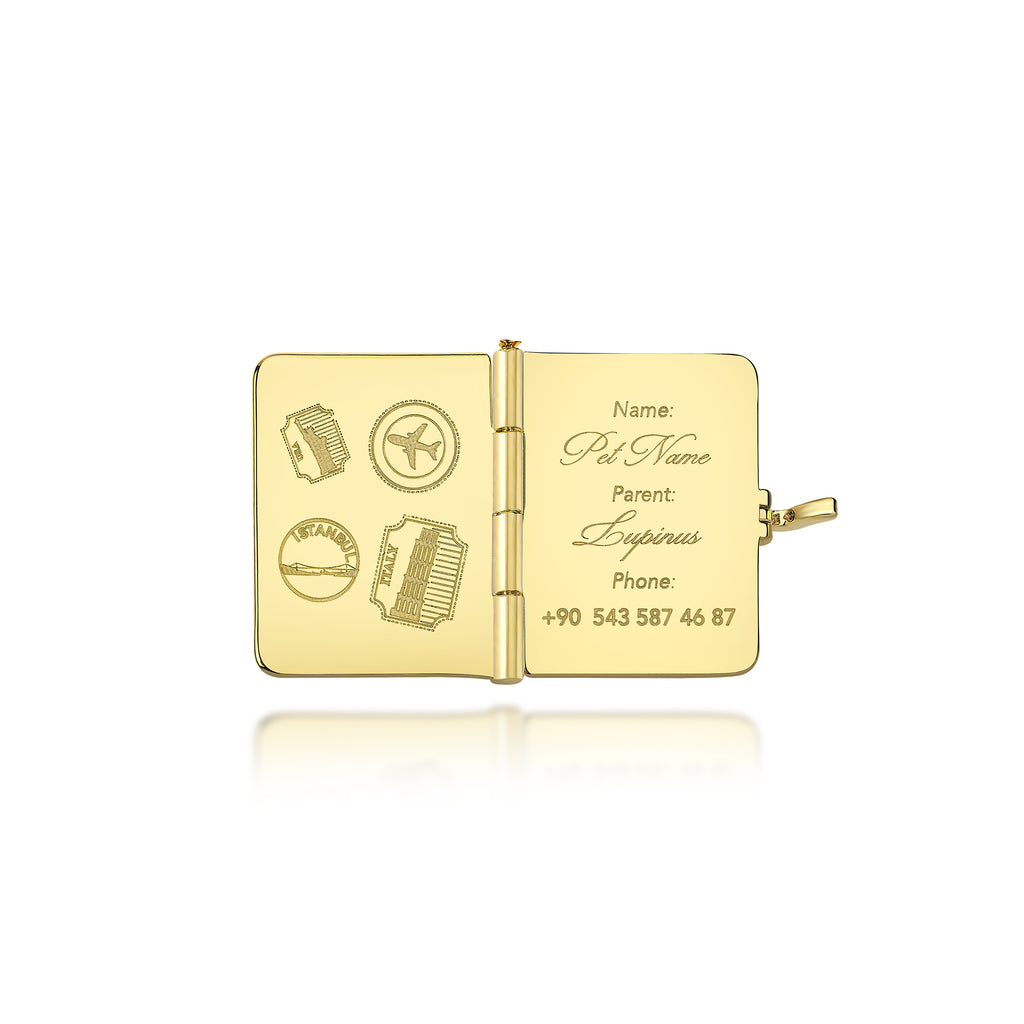 Passport Charm