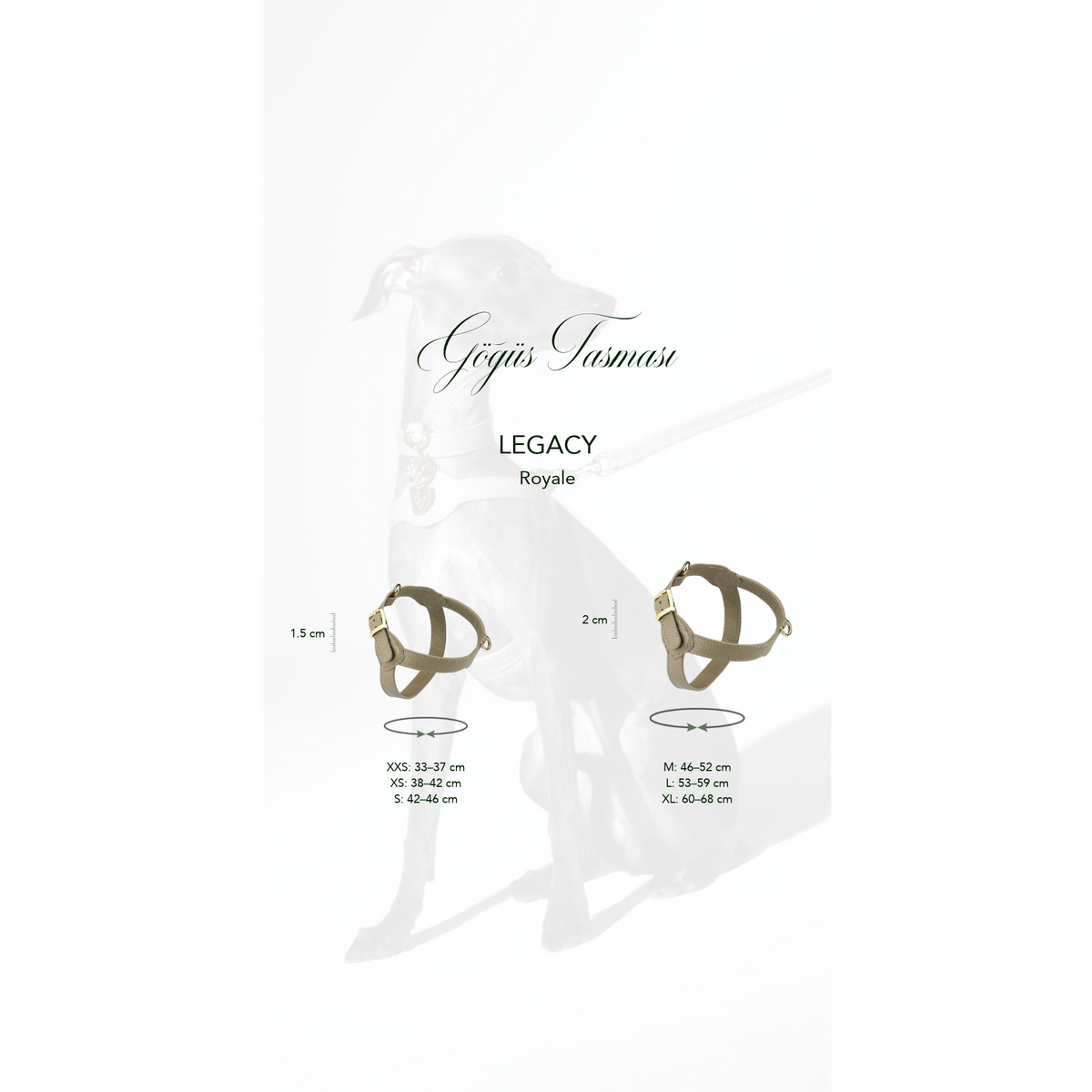 Royale Viridis x Legacy