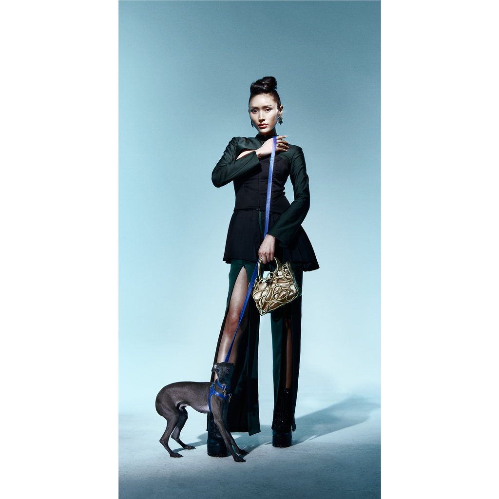Lupinus Stone Charm Serenus