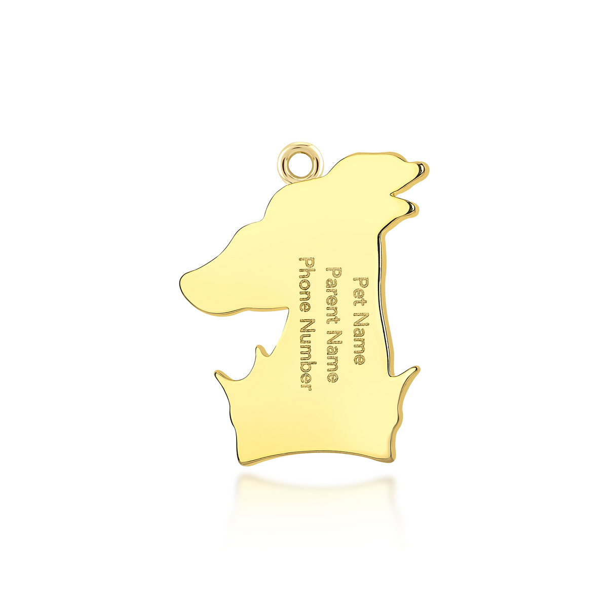 Lupinus Charm