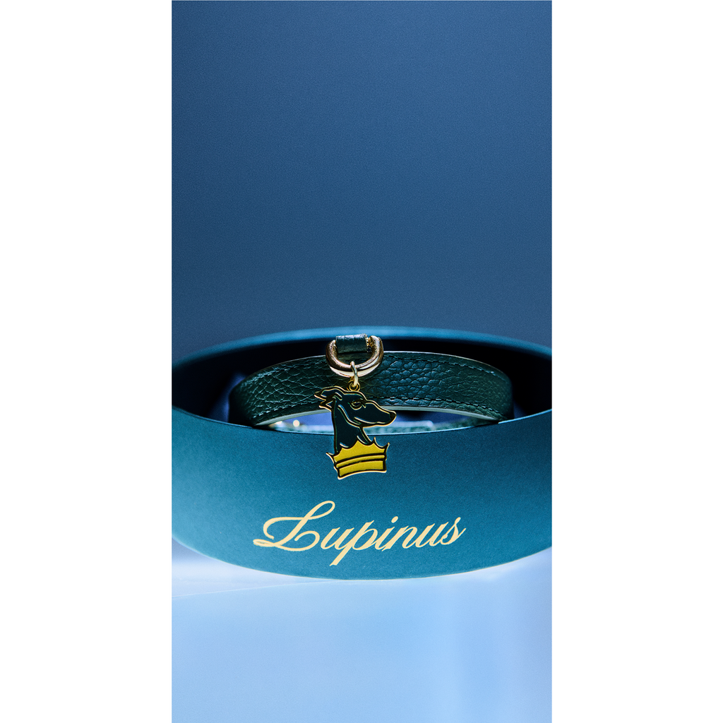 Lupinus Charm