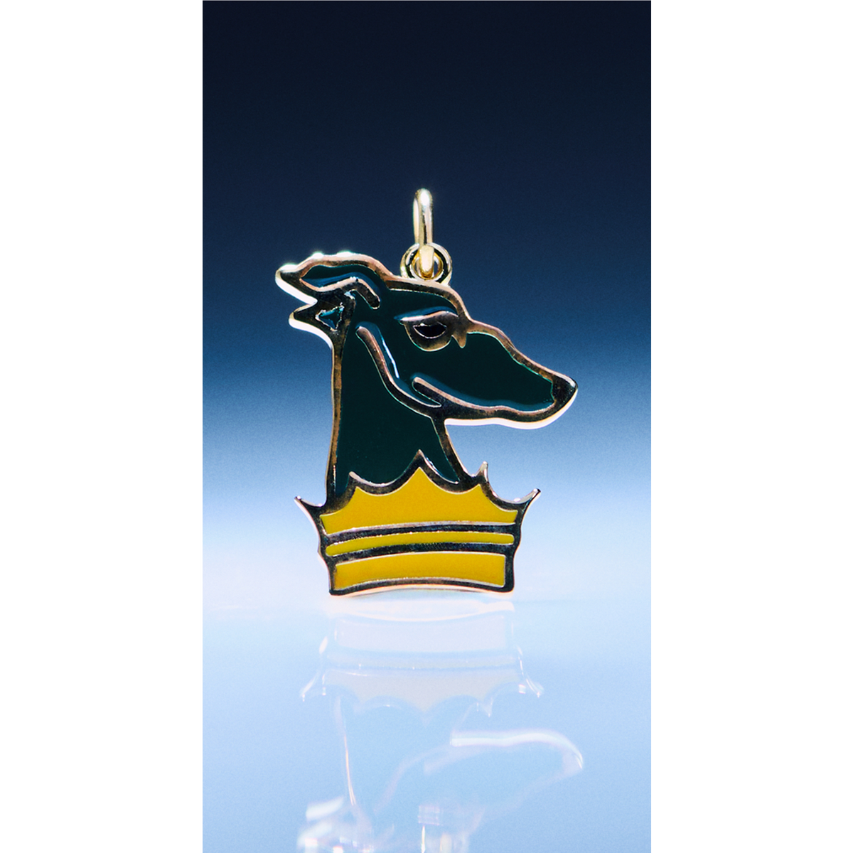 Lupinus Charm