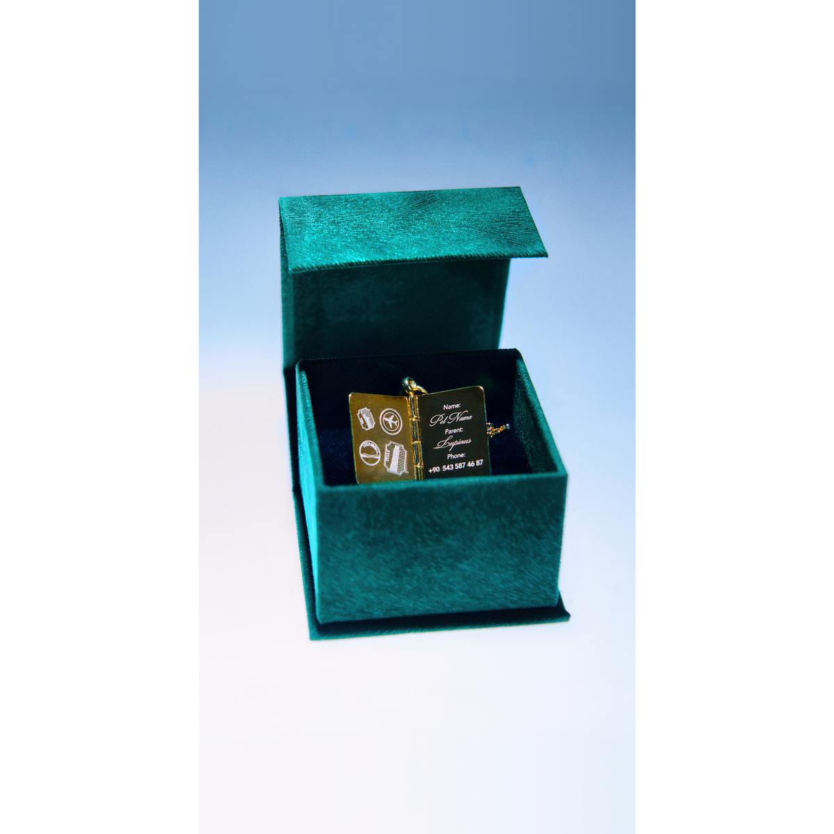 Passport Charm