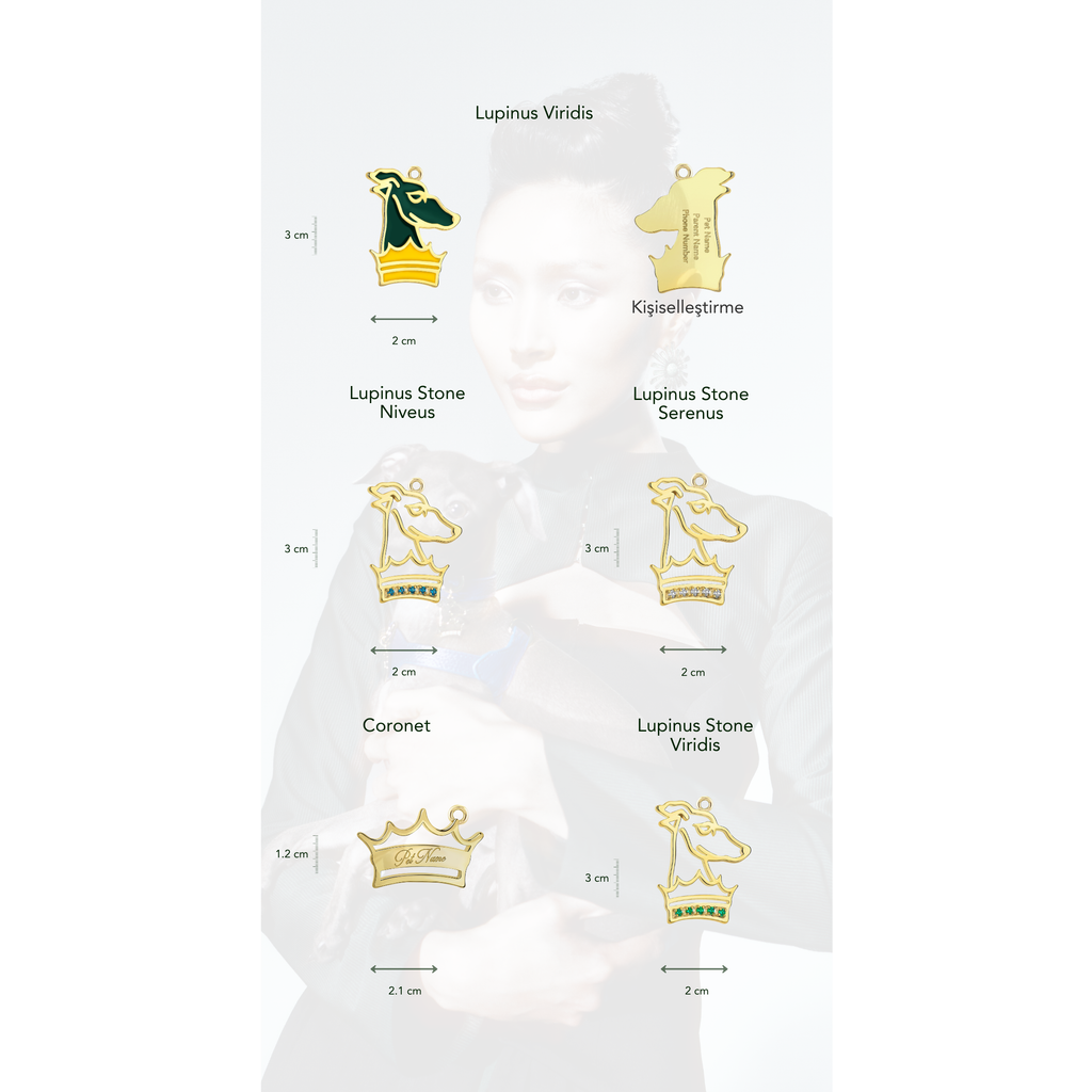 Passport Charm