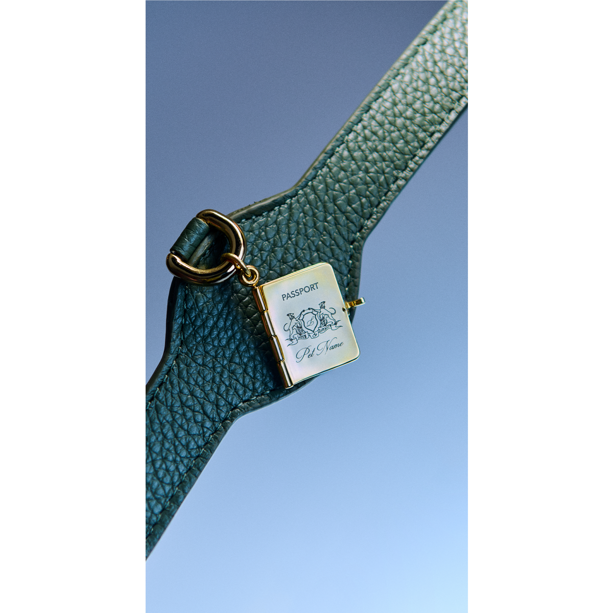 Passport Charm