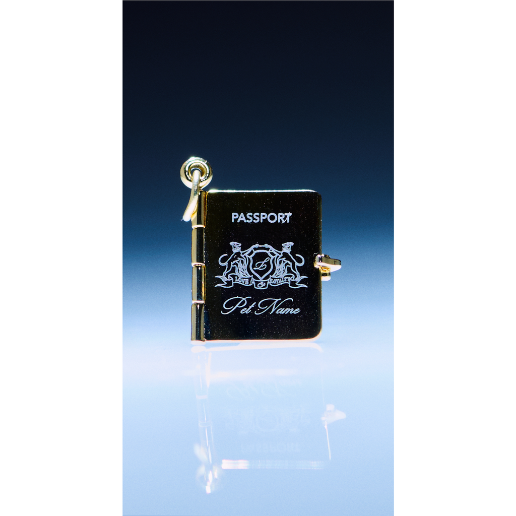 Passport Charm
