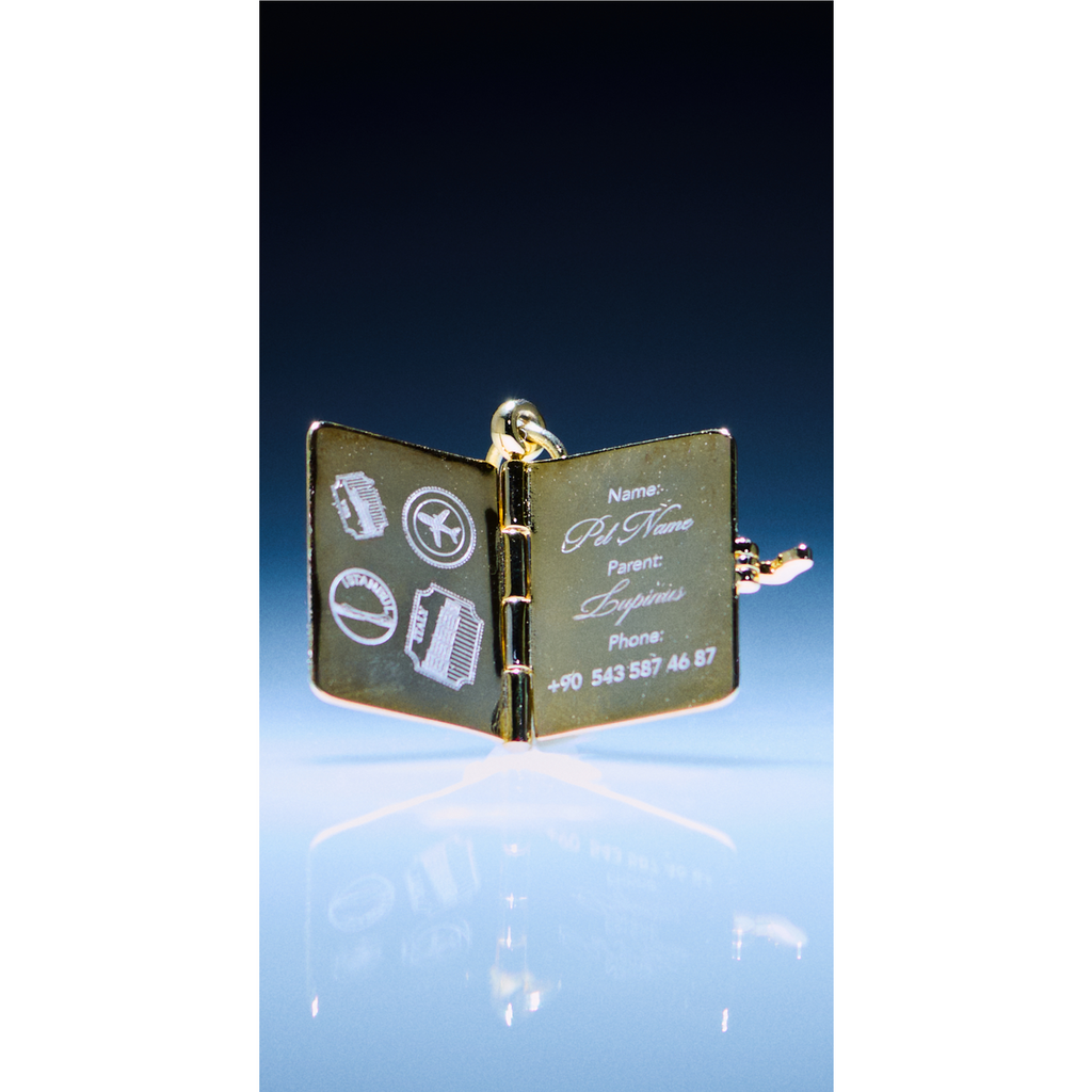 Passport Charm