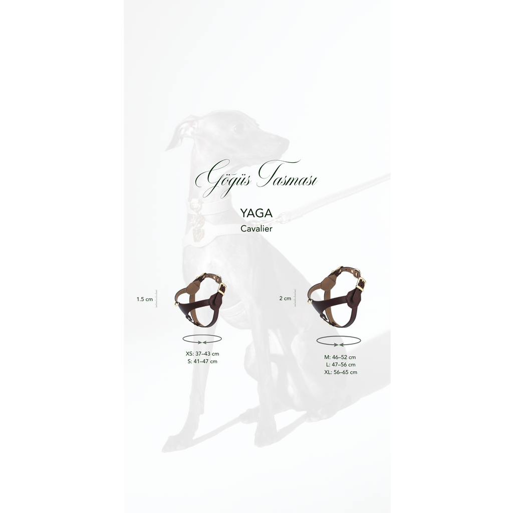 Cavalier Cerasus x Yaga