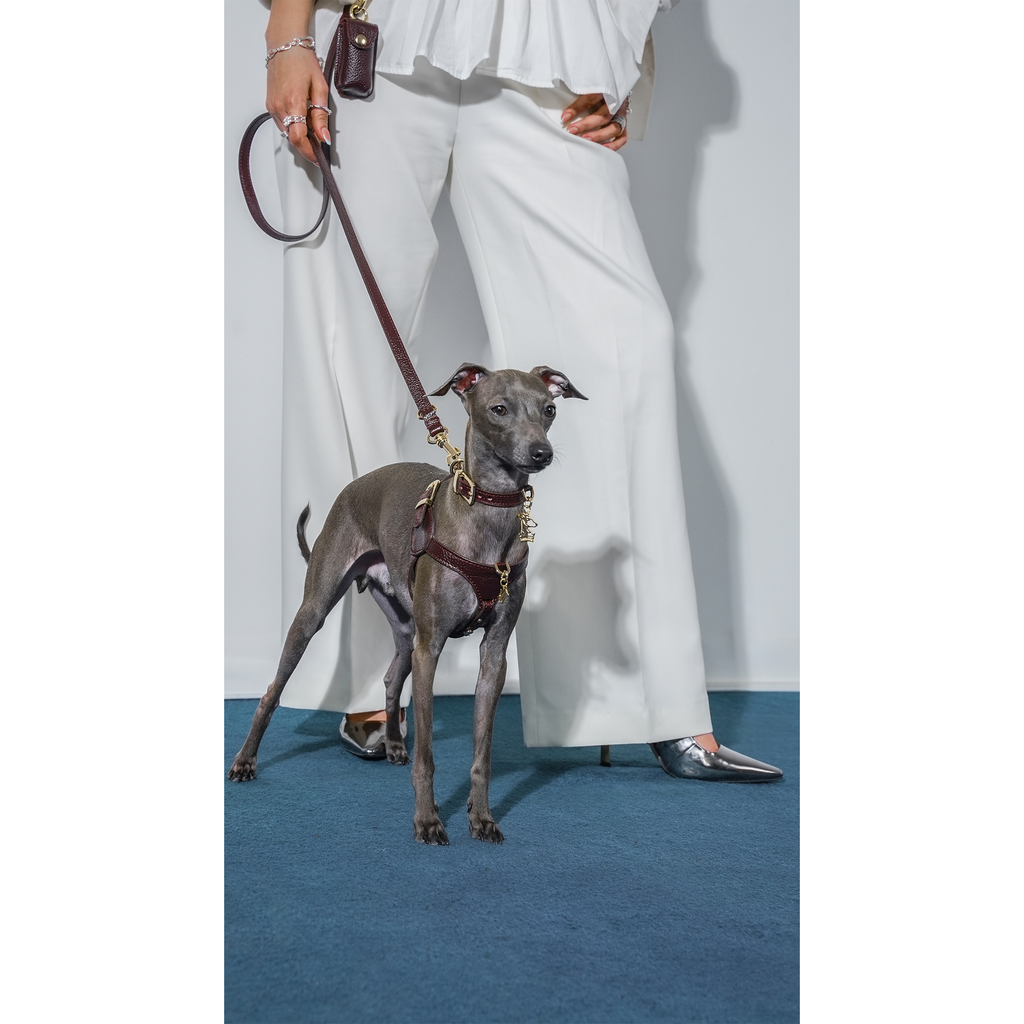 Duke Cerasus x Yaga